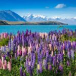 Mount Cook Day Tour: Mount Cook to Christchurch - What to Expect on the Road
