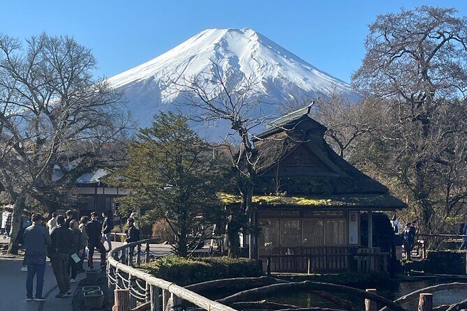 Mount Fuji Full Day Customize Private Tour with English Guide - The Itinerary: Highlights and Practicalities