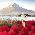 Mount Fuji Full Day Private Tour From Tokyo (Customizable) - What Sets This Tour Apart