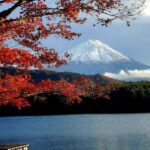 Mount Fuji & Hakone Full-Day Private Tour (Customizable) - A Detailed Look at What to Expect