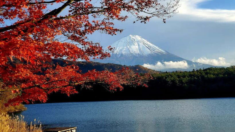 Mount Fuji & Hakone Full-Day Private Tour (Customizable) - A Detailed Look at What to Expect