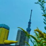 Mount Fuji & Hakone Private English Customized Tour - The Practicalities