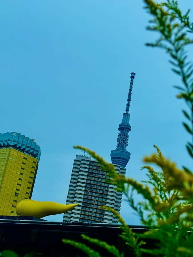 Mount Fuji & Hakone Private English Customized Tour - The Practicalities