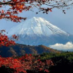 Mount Fuji & Hakone Private Tour with Bullet Train Return - Practical Details & Value