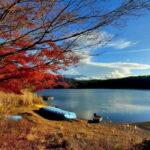 Mount Fuji & Hakone Private Tour with Bullet Train Return - What’s Included and What to Expect