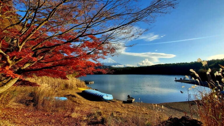 Mount Fuji & Hakone Private Tour with Bullet Train Return - What’s Included and What to Expect