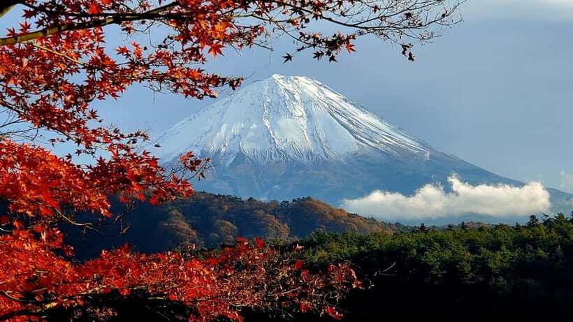Mount Fuji & Hakone Private Tour with Bullet Train Return - Practical Details & Value