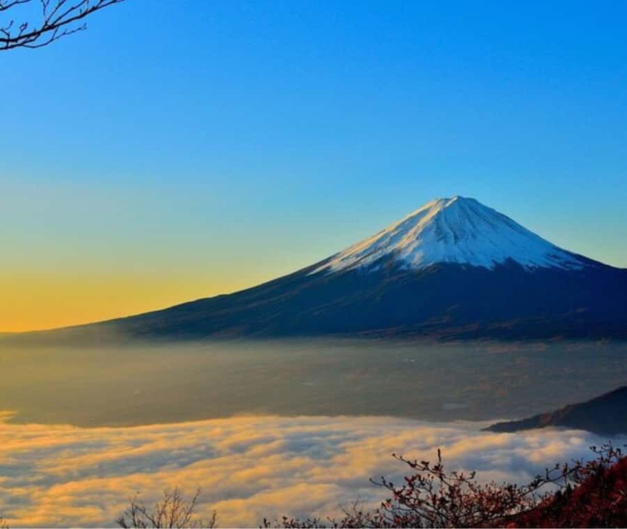 Mount Fuji Private Day Tour customized with English driver - The Scenic Stops: What You’ll Experience