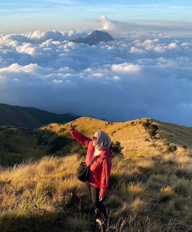 Mount Merbabu Edelweiss & Savanna Views tour from Yogyakarta - Practical Details & What to Expect