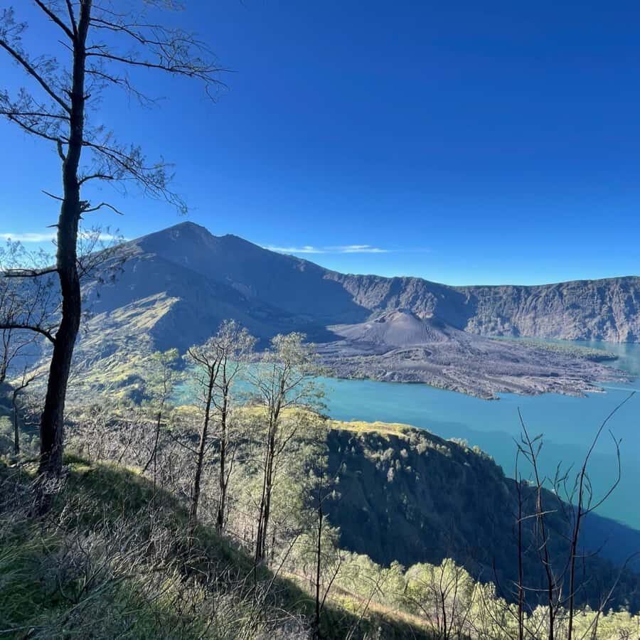 Mount Rinjani One Day Trek Senaru Crater Rim - What to Expect During the Trek