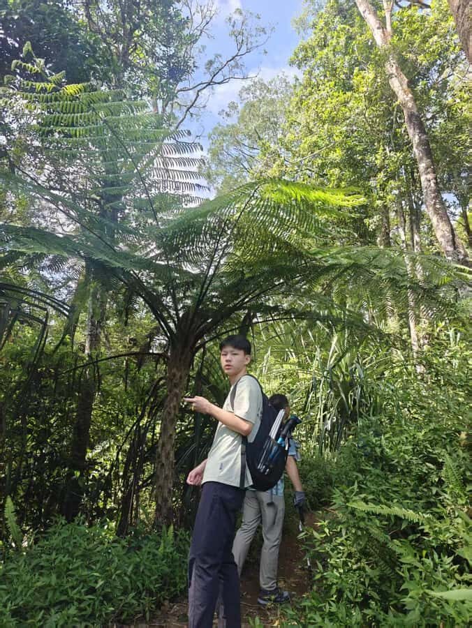 Mount Rinjani One Days trek via Senaru Crater rim - The Overall Experience and Value