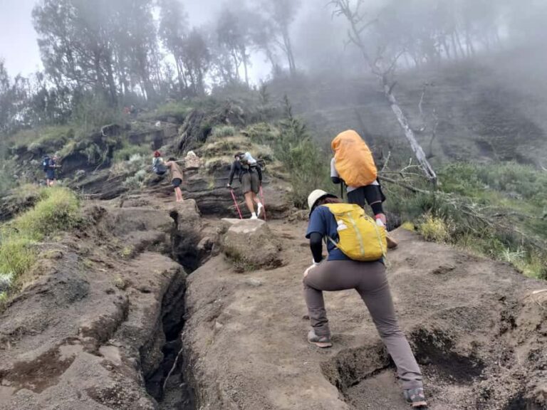 Mount Rinjani: Sembalun/Senaru Summit 2-Day Trekking Tour - What Makes the Trek Special?