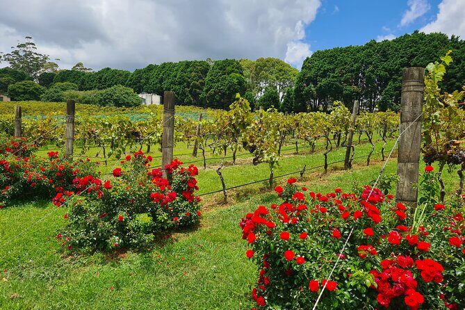 Mount Tamborine Wine Tasting Tour from Brisbane or the Gold Coast - Analyzing the Value: Is This Tour Worth It?