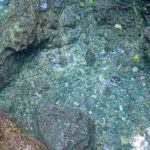 Mountain Bike tour to a Pristine Spring and Cave - Riding Through Coastal Forest: What to Expect