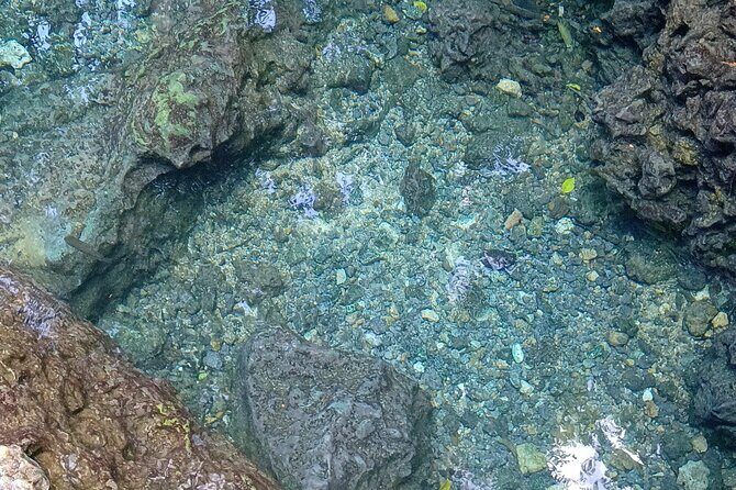 Mountain Bike tour to a Pristine Spring and Cave - Riding Through Coastal Forest: What to Expect