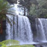 Mt Field Shore Excursion - Who Is This Tour Best For?