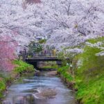 Mt Fuji and Hakone Day Trip from Tokyo with Ropeway Experience - Who Should Book This Tour?