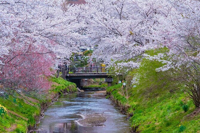 Mt Fuji and Hakone Day Trip from Tokyo with Ropeway Experience - Who Should Book This Tour?