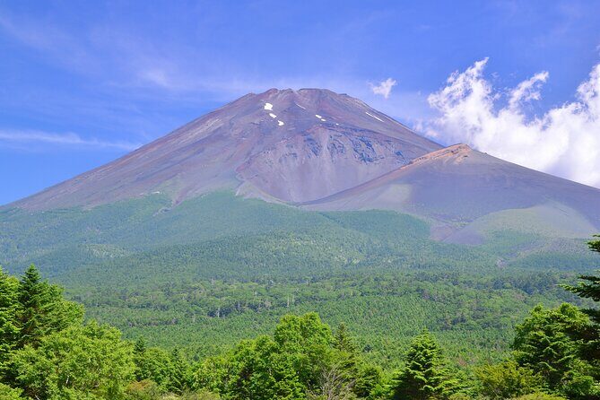 Mt. Fuji and Hakone Private Day Tour by Bullet Train and Car - The Practicalities & Value