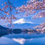 Mt. Fuji and Hakone Private Tour with English Speaking Driver - Who Will Love This Tour?