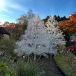 Mt Fuji and Hakone Private Tour With English Speaking Driver - Transport, Comfort, and Flexibility