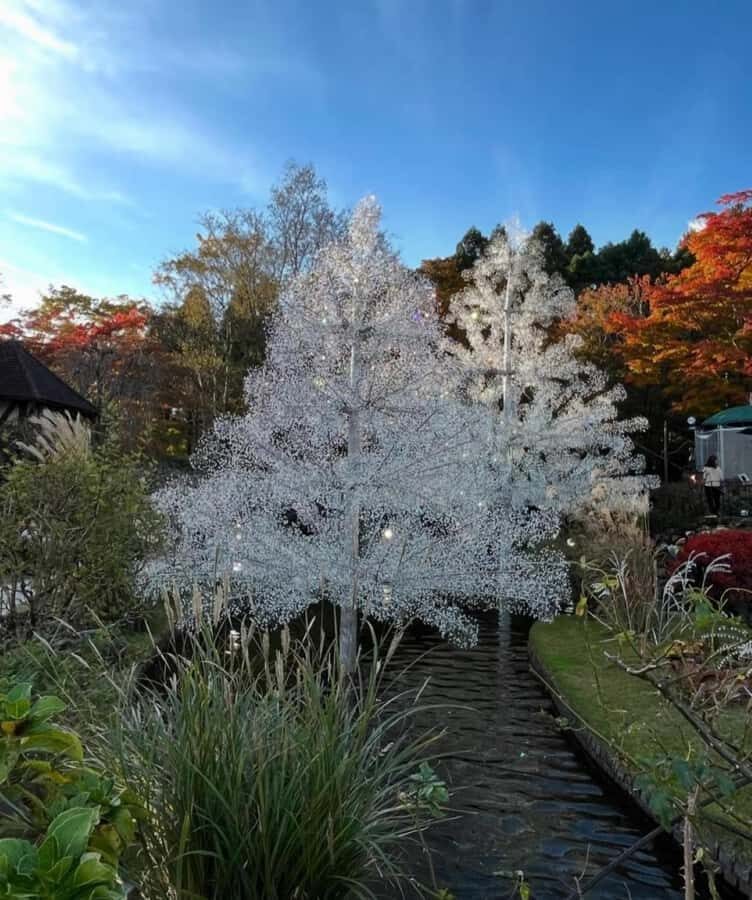 Mt Fuji and Hakone Private Tour With English Speaking Driver - Transport, Comfort, and Flexibility