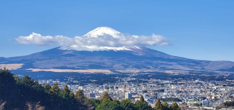 Mt Fuji and Hakone Private Tour With English Speaking Driver - The Itinerary in Detail: What You’ll Experience