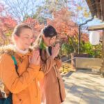 Mt.Fuji Day Trip from Tokyo:Strawberry,Tea Farm(Small Group) - An In-Depth Look at the Itinerary and Experience