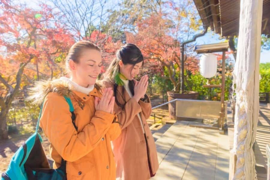 Mt.Fuji Day Trip from Tokyo:Strawberry,Tea Farm(Small Group) - An In-Depth Look at the Itinerary and Experience