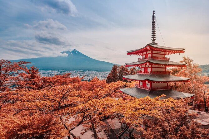 Mt Fuji Full Day Private Tour from Tokyo with English Driver - Final Thoughts