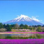 Mt. Fuji & Hakone Day Trip with English-Speaking Driver - The Practical Side: What to Expect