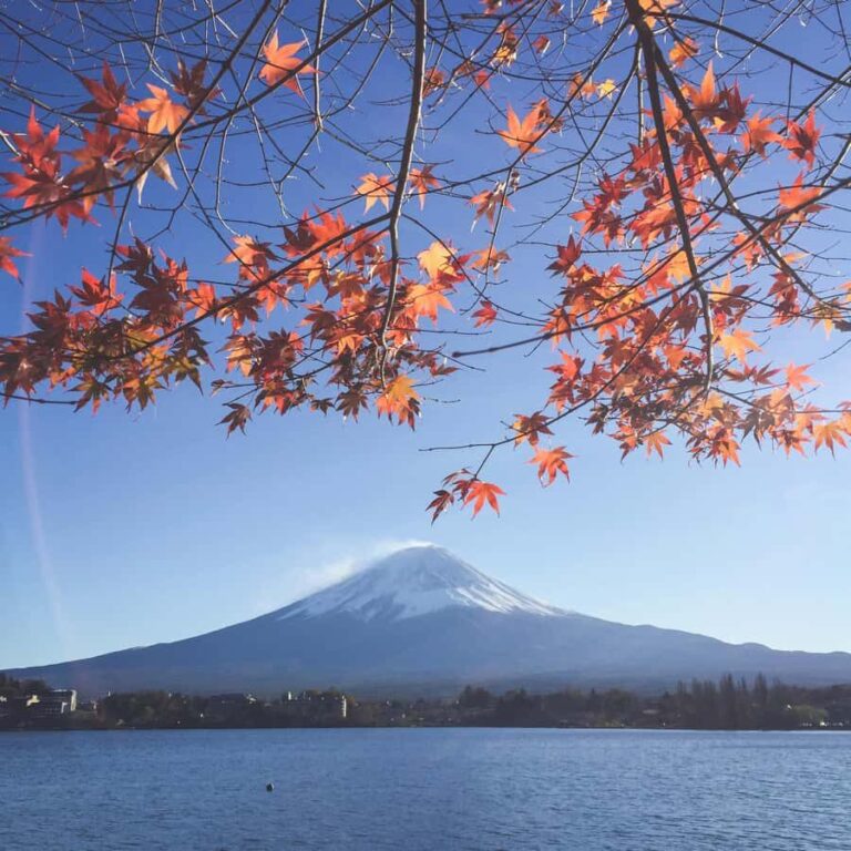 MT Fuji Private Day Tour in Luxury Car - Practical Aspects & Value