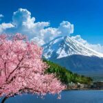 Mt. Fuji Private Tour: 8-Hour Bespoke Day from Your Hotel - Authentic Insights from Past Travelers