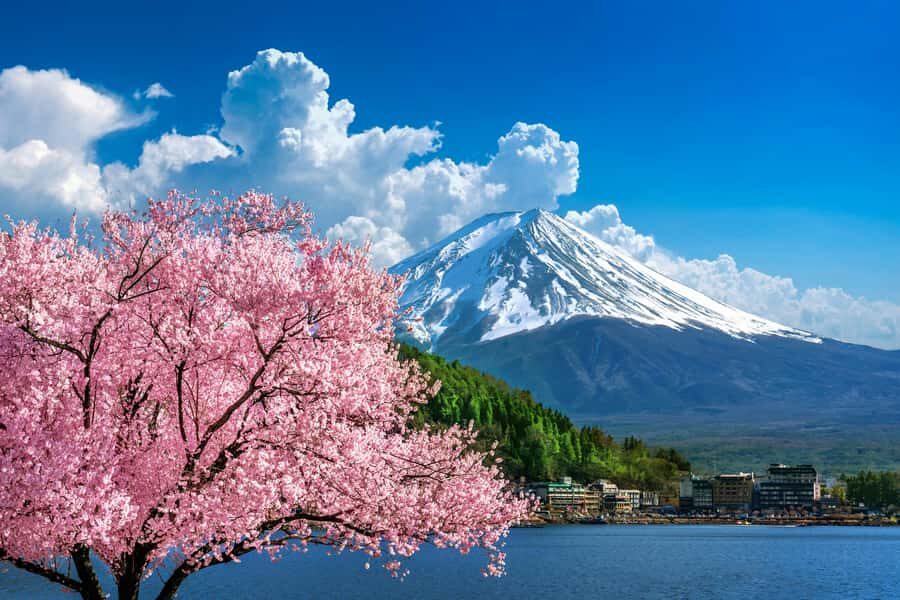 Mt. Fuji Private Tour: 8-Hour Bespoke Day from Your Hotel - Authentic Insights from Past Travelers