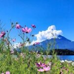 Mt. Fuji Private Tour With Hotel Pick Up From Tokyo - What Makes This Tour Stand Out?