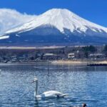 Mt. Fuji Scenic Lakes and Oshino Hakkai Private Tour - Final Thoughts: Who Is This Tour Best For?