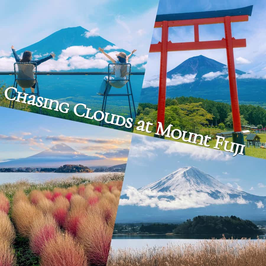 Mt. Fuji Scenic Tour: Lake Kawaguchi & Farm Experience - Assessing the Value