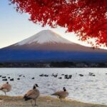 Mt Fuji Twin Lakes Maple Festival Night Lights Tour - Final Thoughts
