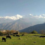 Mt. Ganesh Himal (Yangra) 2025/2026 - Final Thoughts: Is This the Right Mountain Adventure for You?