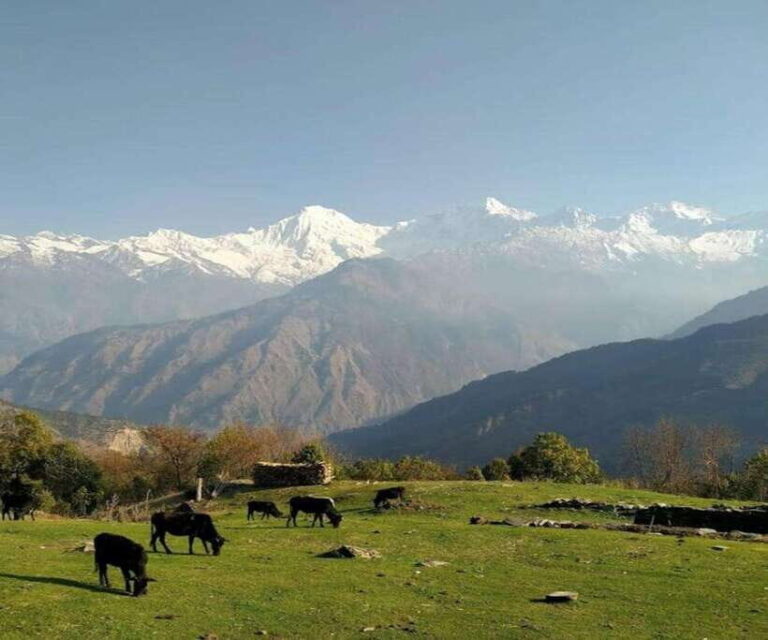 Mt. Ganesh Himal (Yangra) 2025/2026 - Final Thoughts: Is This the Right Mountain Adventure for You?