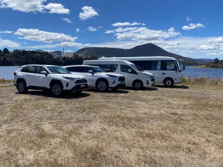 Mt Wellington & Hobart: Shore Excursion (Private Tour) - An Overview of the Experience