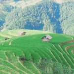 Mu Cang Chai One Day Trekking Tour With Local Guide - Who Would Love This Tour?