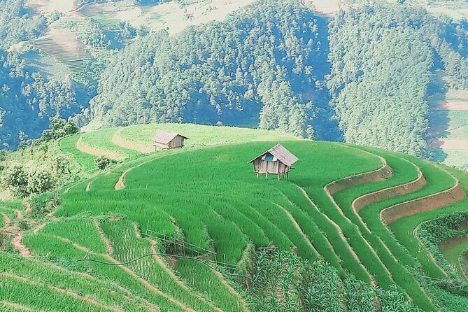 Mu Cang Chai One Day Trekking Tour With Local Guide - Who Would Love This Tour?