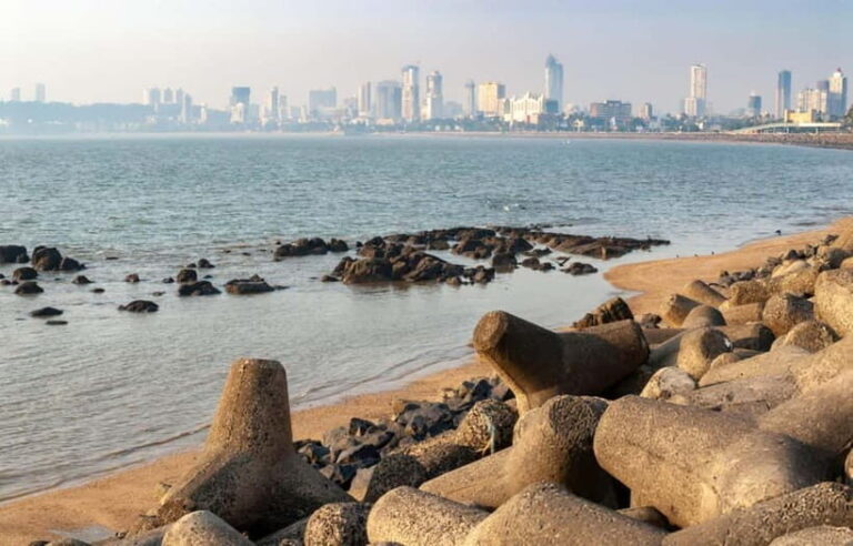 Mumbai: Best of the City Private Half-Day Tour - What We Love About This Tour