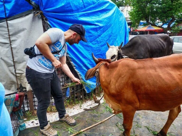 Mumbai: Full-Day Sightseeing Tour of Mumbai - The Itinerary in Detail