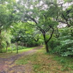 Mumbai: Maharashtra Nature Park Guided Nature Trail - What to Expect During the Tour