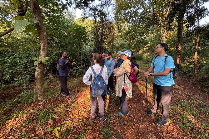 Mumbai Nature Trails  Shilonda + Upper Kanheri + Gaimukh - Final Thoughts: Who Will Love This Tour?