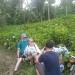 Munduk: Banyumala Waterfalls Hiking Tour - What to Expect from the Tour