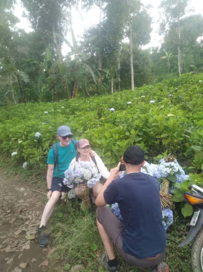 Munduk: Banyumala Waterfalls Hiking Tour - What to Expect from the Tour