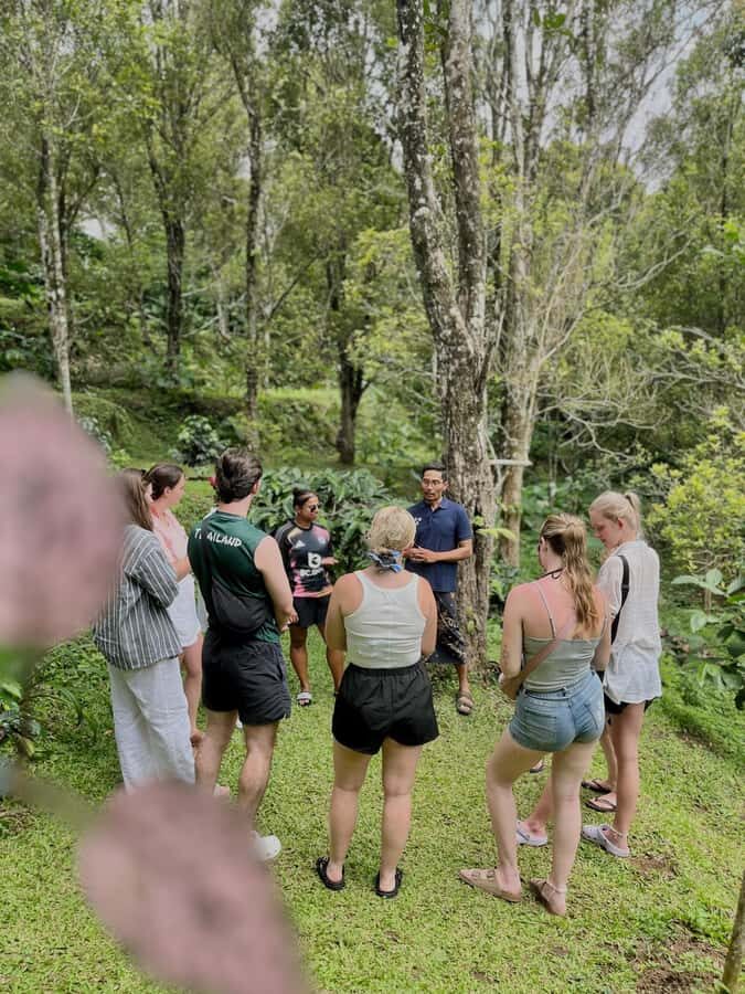 Munduk : Coffee Plantation Tour and Bamboo Weaving Class - Practical Details and Tips